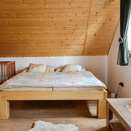 Drevenica Line Holiday home